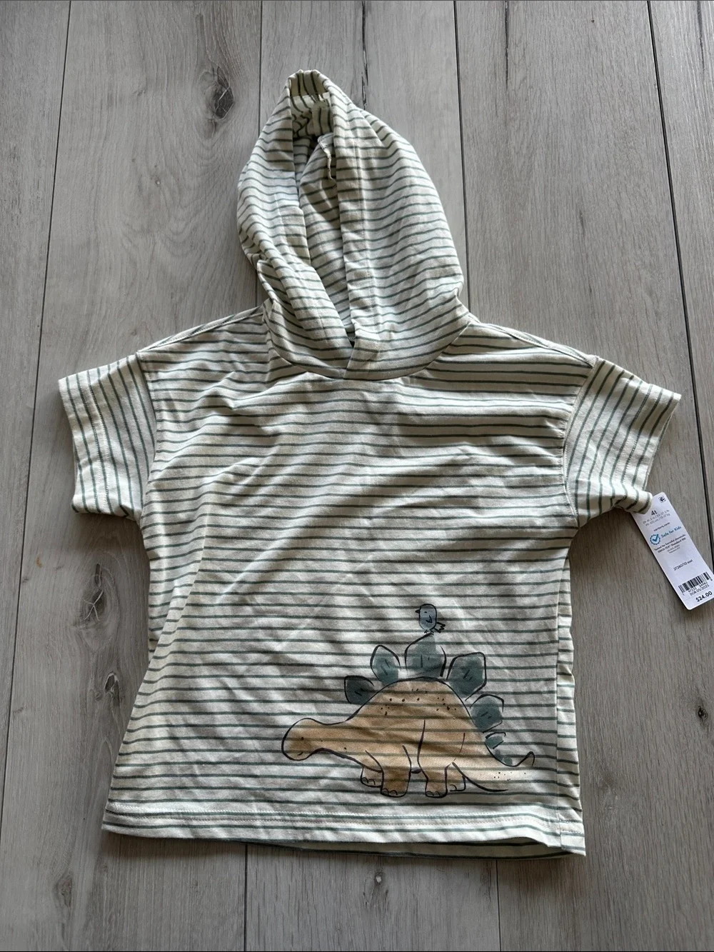 Carter’s 2-Piece Dinosaur Striped Hooded Tee & Jogger Set Multi 4T NWT